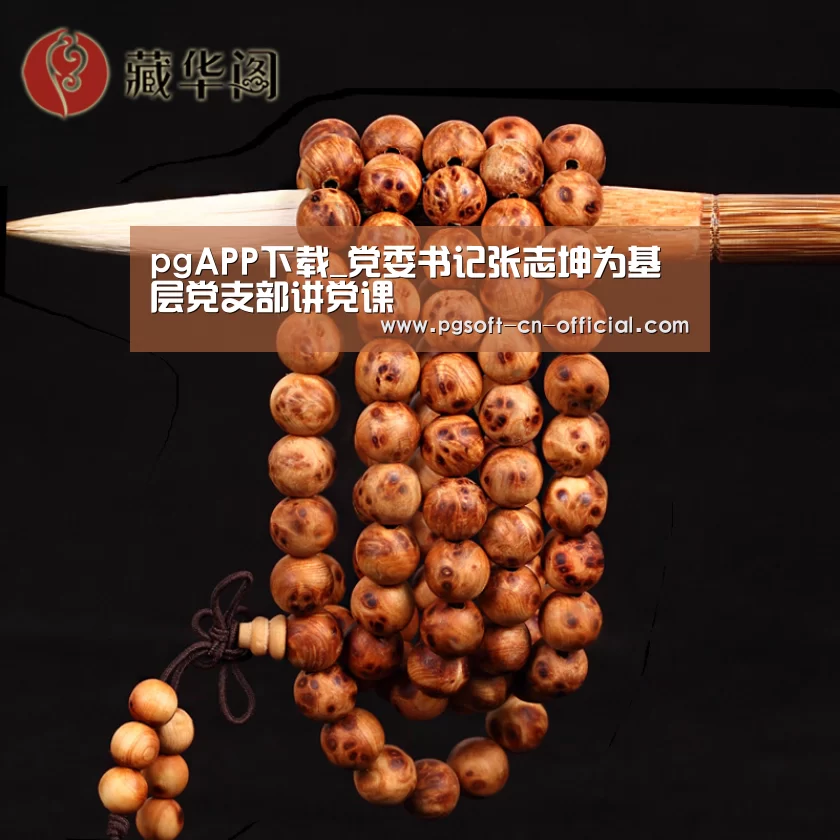 pgAPP下载_党委书记张志坤为基层党支部讲党课(图3) pg下载