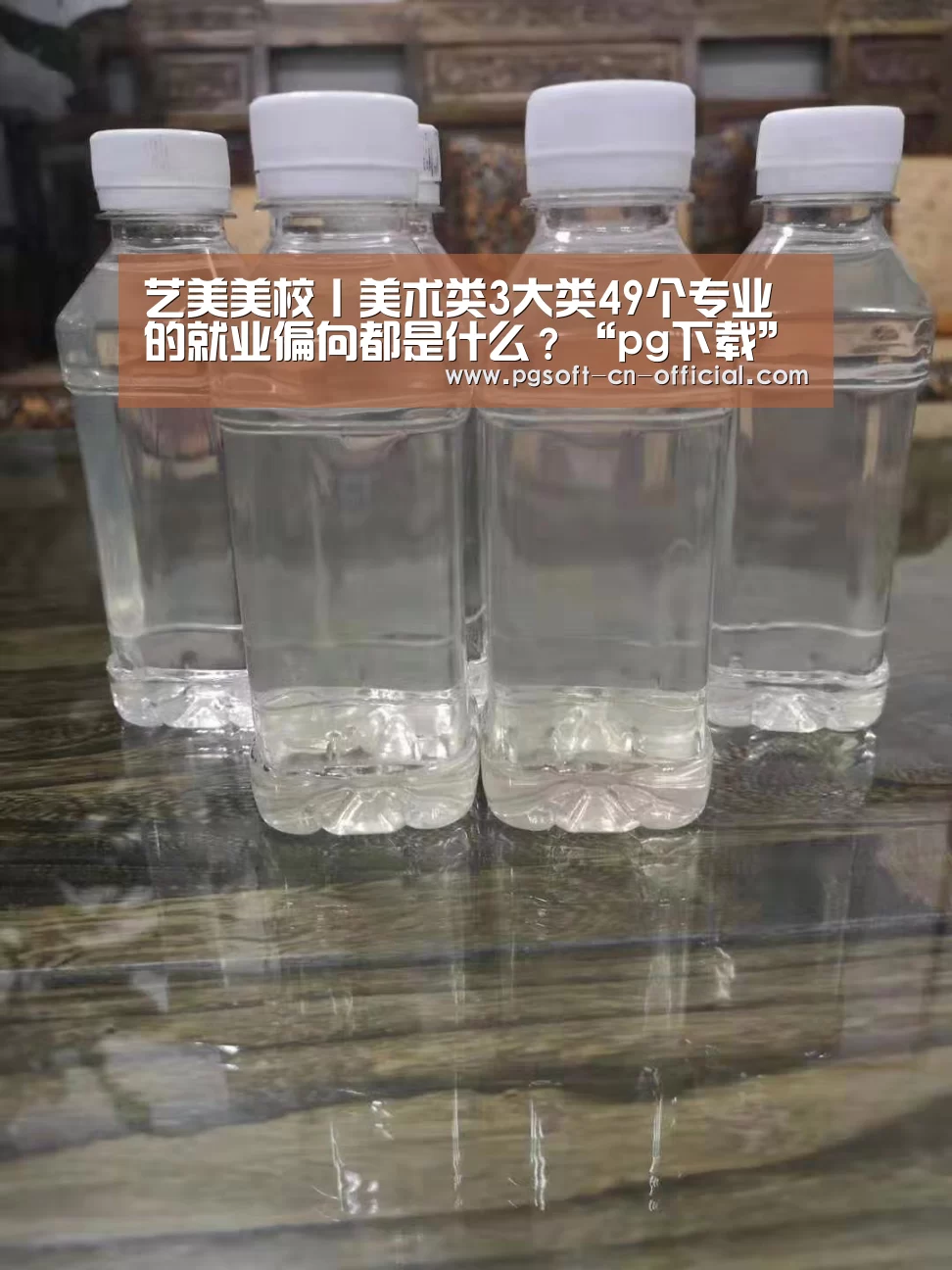 pgAPP下载