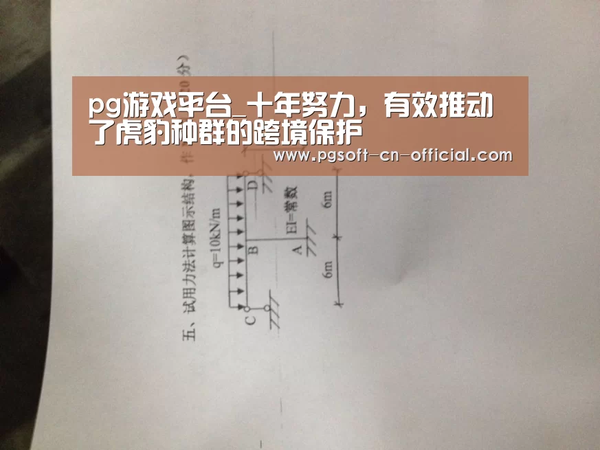 pg游戏平台_十年努力,有效推动了虎豹种群的跨境保护(图2) pg官网