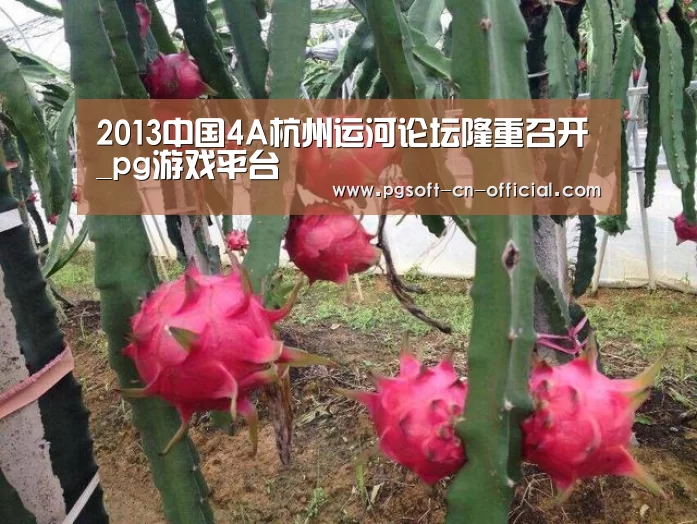 2013中国4A杭州运河论坛隆重召开_pg游戏平台(图1) pg官网