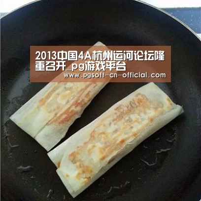 2013中国4A杭州运河论坛隆重召开_pg游戏平台(图2) pg游戏平台
