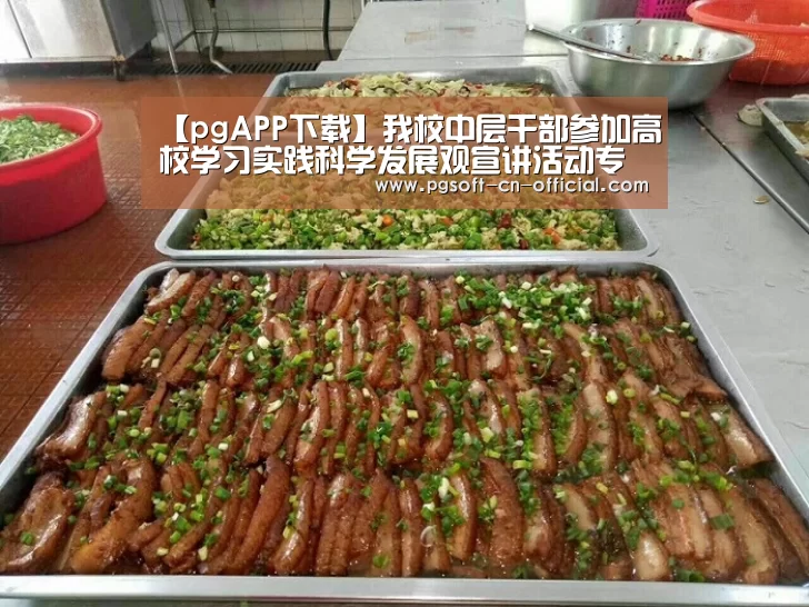 【pgAPP下载】我校中层干部参加高校学习实践科学发展观宣讲活动专场报告会(图2) pg下载