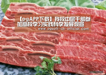 【pgAPP下载】我校中层干部参加高校学习实践科学发展观宣讲活动专场报告会(图1) pg官网