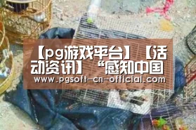 【pg游戏平台】【活动资讯】“感知中国 物联世界”主题广告创意设计大奖赛采风活动速写(图2) pg游戏平台