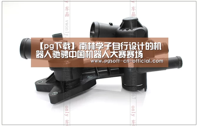 pg下载
